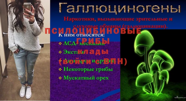 МДМА Новодвинск