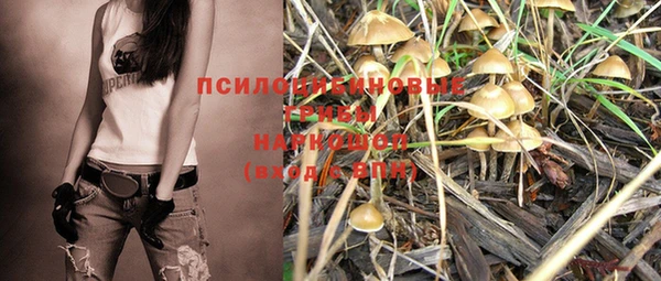 PSILOCYBIN Нефтекумск