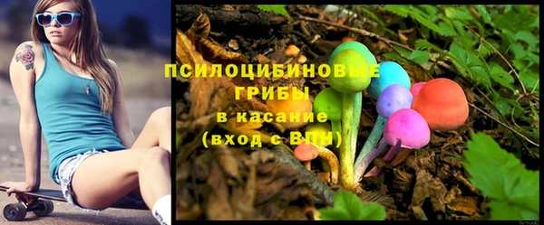 дмт Новокубанск