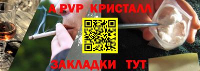 дмт Гай