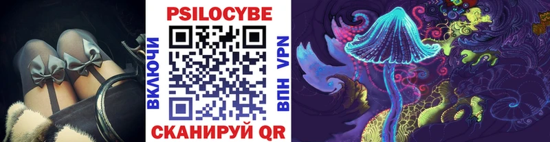 где можно купить   Кузнецк  Галлюциногенные грибы Magic Shrooms 