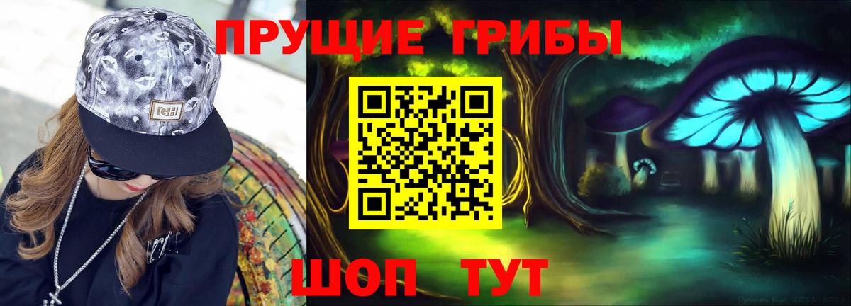 Галлюциногенные грибы Psilocybine cubensis Кузнецк